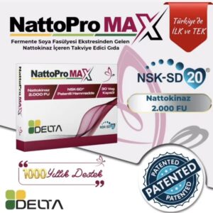 Fermente Soya Fasulyesi Ektresinden Gelen Nattokinaz