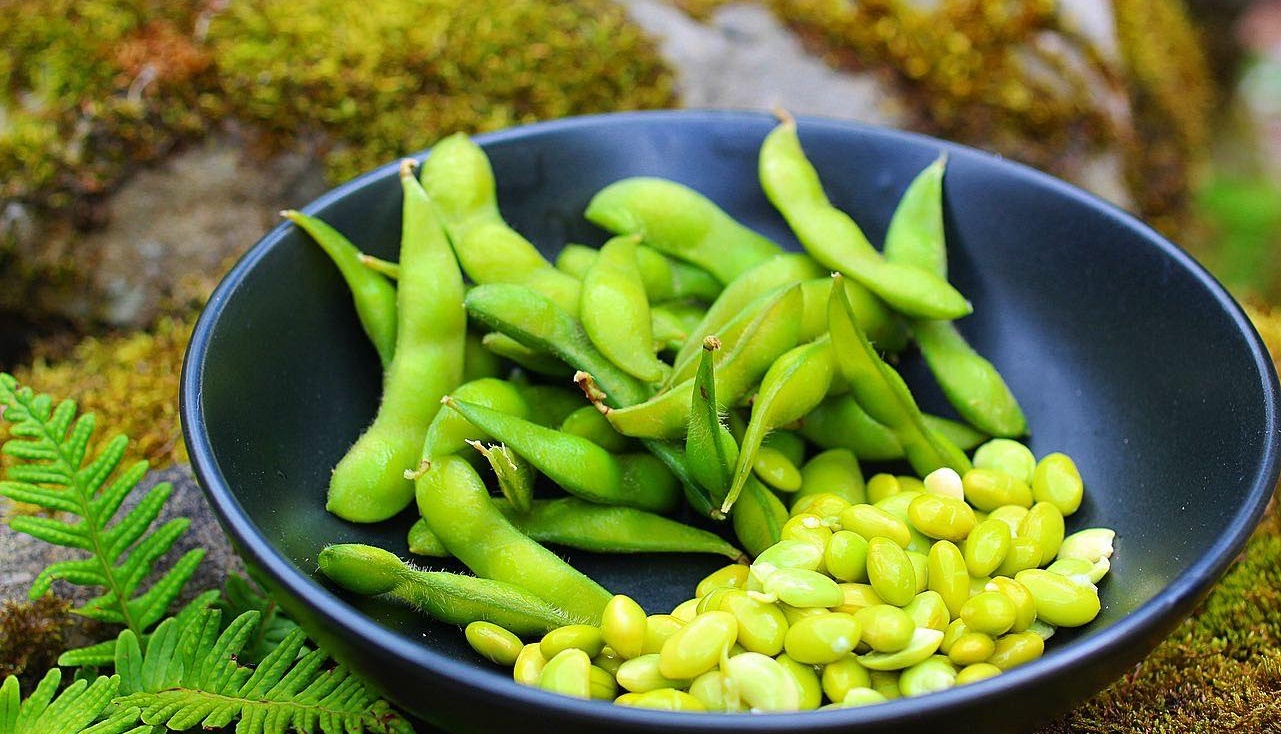 Edamame Nedir? Sağlığa Faydaları