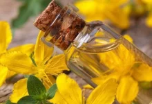 Doğru kullanıldığında bitkiler tam bir şifa kaynağıdır.Pek çok kişi kantaronun ne olduğunu merak ediyor. Peki, kantaron neye iyi gelir?