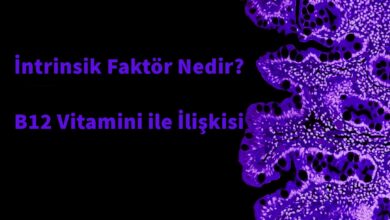 İntrinsik Faktör Nedir?