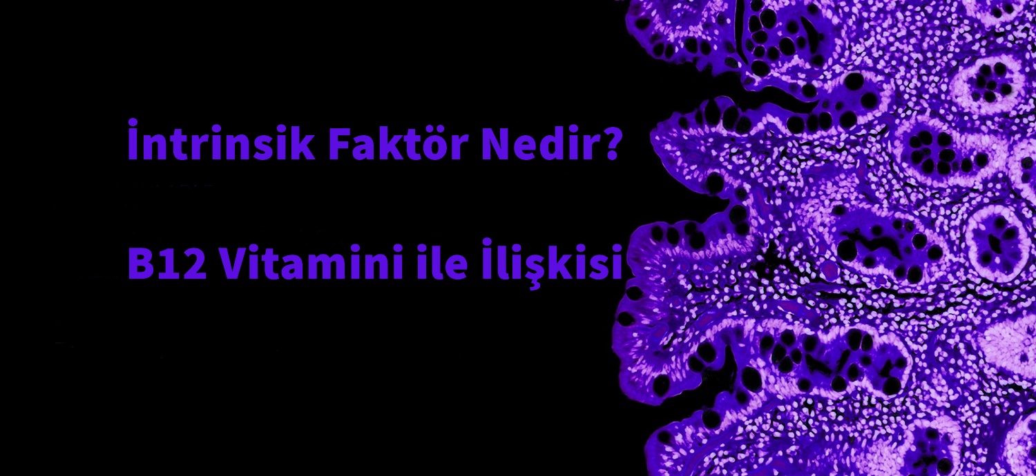 İntrinsik Faktör Nedir?