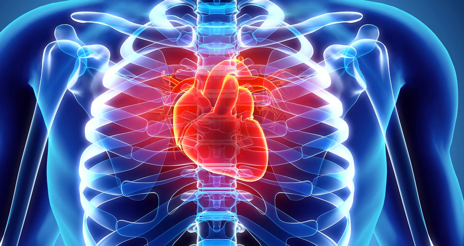 Nattokinaz Faydaları: Kalp Sağlığına Etkisi