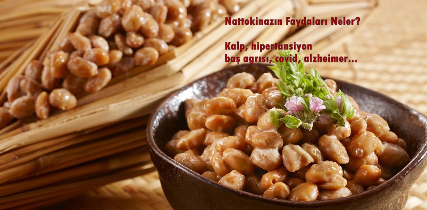 Nattokinaz Faydaları Saymakla Bitmiyor