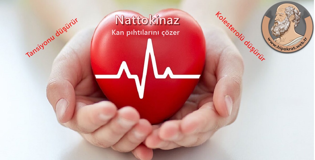 Nattokinaz kalp sağlığı faydaları ile dikkat çekiyor