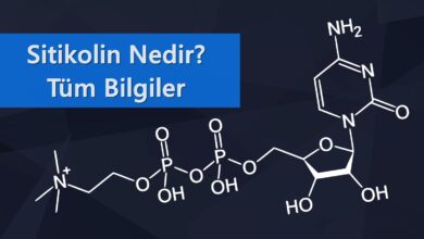 Sitikolin Nedir?