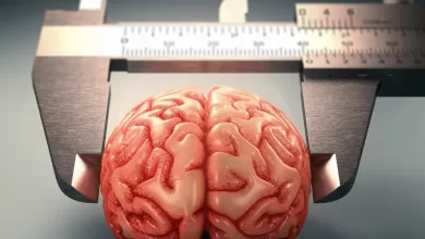 Beynin büyümesi demans riskini azaltıyor mu?