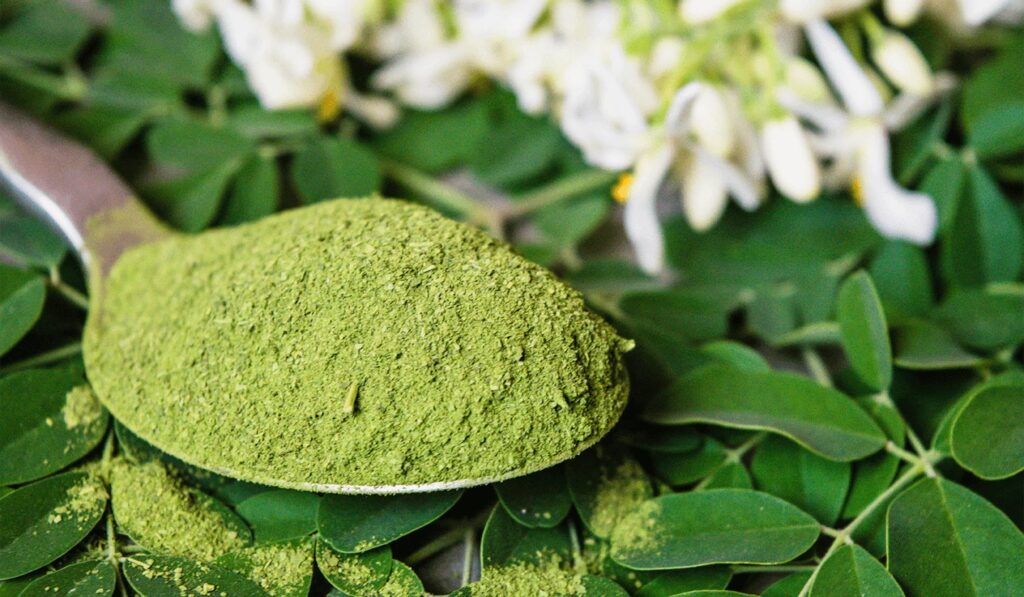 Moringa