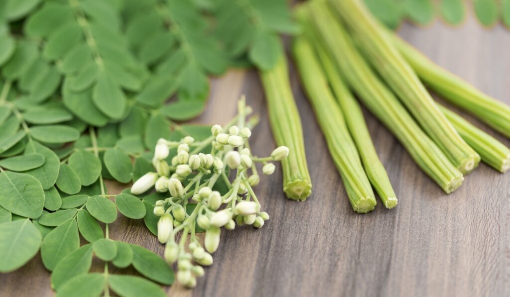 Moringa Faydaları Neler?