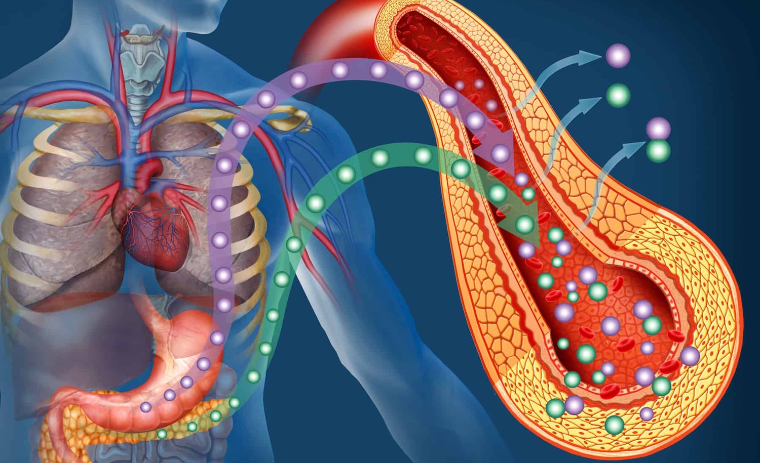 PCOS insülin direnci bağlantısı