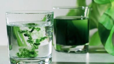 Sıvı Klorofil Nedir?