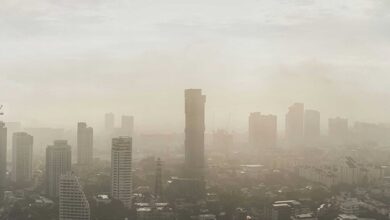 Hava kirliliği sedef hastalığı riskini artırıyor