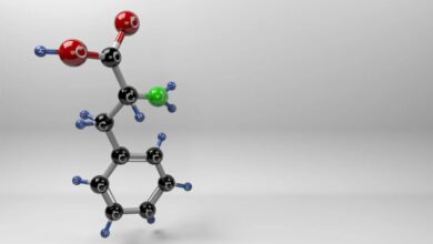 Fenilalanin nedir, ne işe yarar?