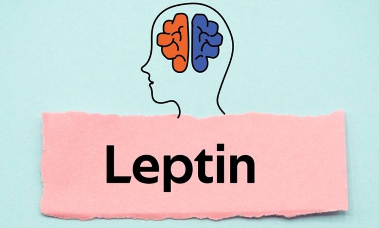Leptin direnci nedir? 1 Leptin direnci nedir?