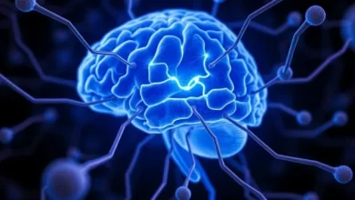 ABD’de yapılan bir araştırma, inert ve reaktif olmayan bir gaz olan xenonun, Alzheimer hastalığının ilerlemesini yavaşlatabileceğini ortaya koydu.