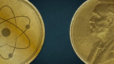 Bağışıklık sisteminin kendi hücrelerine saldırmasını önleyen düzenleyici mekanizmaları ortaya çıkaran çalışmalar, 2025 Nobel Tıp Ödülü’ne değer görüldü.