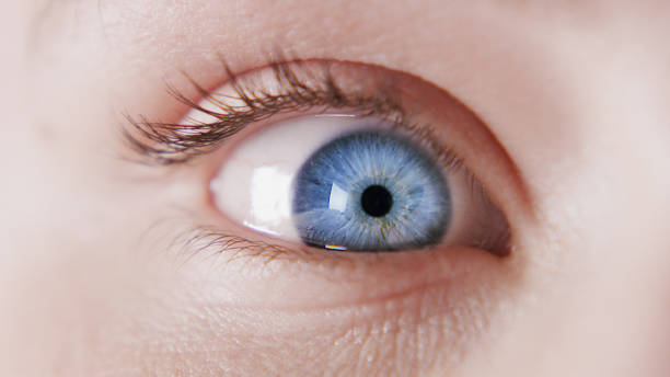 Gözünüzde ışık çakmaları görüyorsanız dikkat 1 Uzmanlara göre, aniden ortaya çıkan parlak ışık çakmaları, göz retinasında ciddi bir hasarın habercisi olabilir.