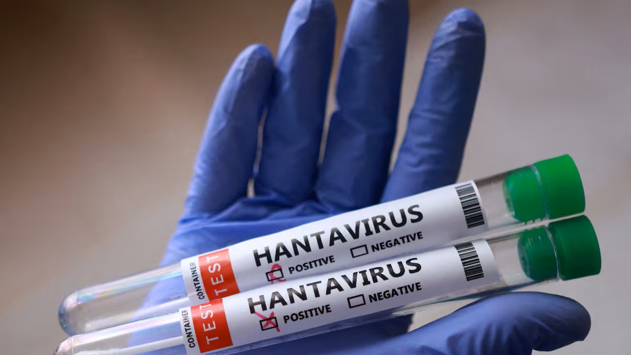 hantavirus