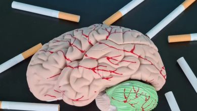 Biological Psychiatry dergisinde yayımlanan araştırmada, uzun süreli nikotin maruziyetinin beyindeki motivasyon devrelerini değiştirdiği belirlendi.