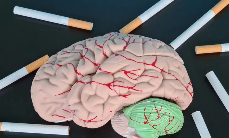 Biological Psychiatry dergisinde yayımlanan araştırmada, uzun süreli nikotin maruziyetinin beyindeki motivasyon devrelerini değiştirdiği belirlendi.