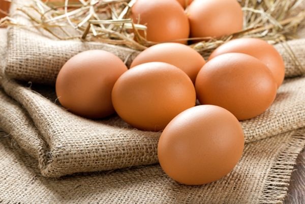 Organik yumurta üretimi, hayvan refahı açısından daha iyi bir seçenek olarak görülse de iklim üzerindeki etkisi beklenenden yüksek olabilir.