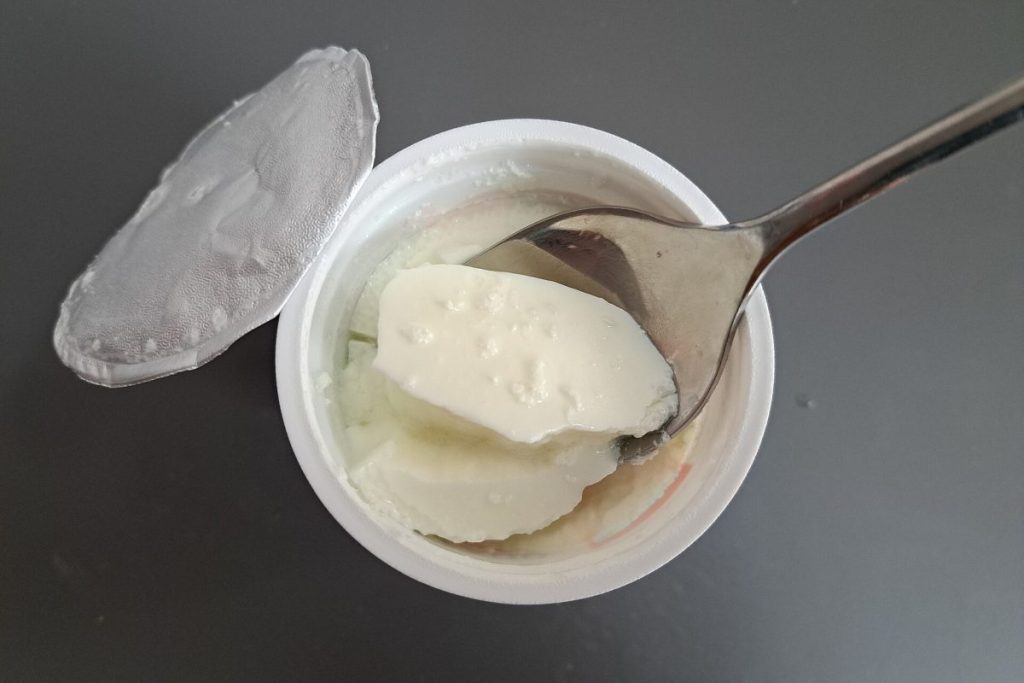 Probiyotik Besinler