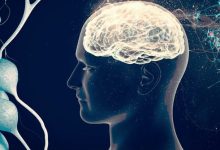 Bağırsak bakterilerinin ürettiği imidazol propiyonat adlı metabolitin, Alzheimer hastalığıyla ilişkili beyin değişikliklerini hızlandırabileceği belirlendi.