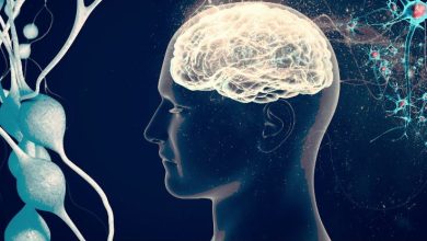 Bağırsak bakterilerinin ürettiği imidazol propiyonat adlı metabolitin, Alzheimer hastalığıyla ilişkili beyin değişikliklerini hızlandırabileceği belirlendi.