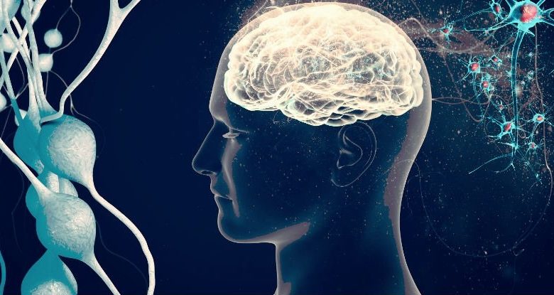 Bağırsak bakterilerinin ürettiği imidazol propiyonat adlı metabolitin, Alzheimer hastalığıyla ilişkili beyin değişikliklerini hızlandırabileceği belirlendi.